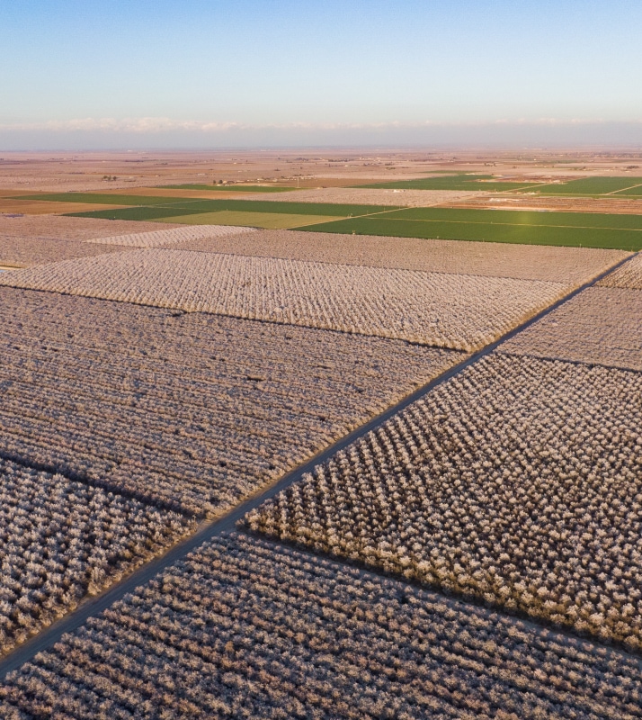 Aerial view of The Almond Project acres during bloom near Bakersfield, CA.